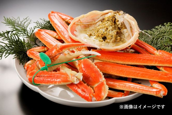 【蟹の匠 魚政】ボイル済み 急速冷凍 茹でズワイガニ 900g級 （茹で上げ後800g） 1匹　UO00807