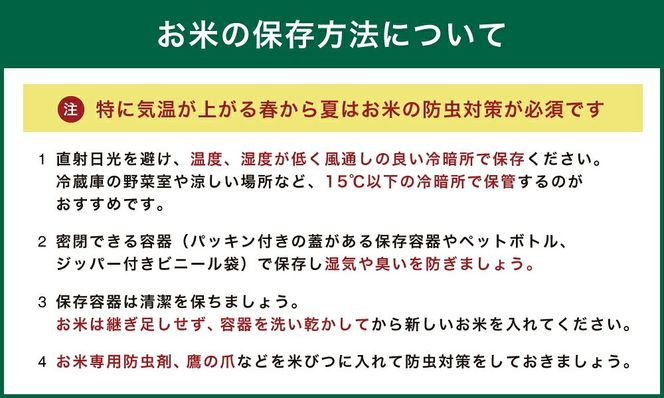 令和8年産 コシヒカリ 冬眠米 10kg（5kg×2袋） | 茨城県産 白米 精米 ごはん お米 冬眠 とうみんまい ブランド米 検査米 単一原料米 国産 守谷市 送料無料