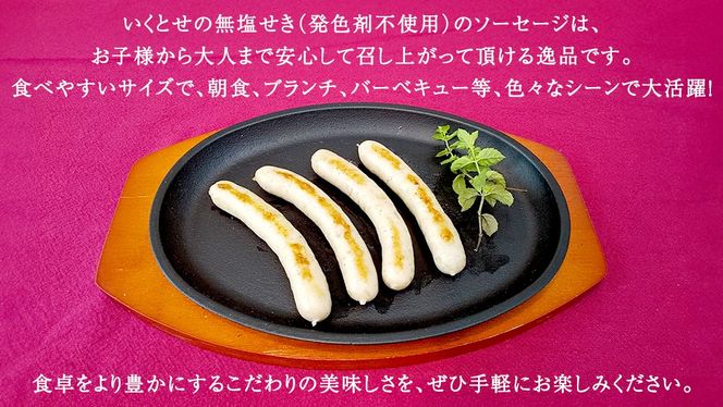 職人が作る ドイツソーセージ 粗挽き セット（325g×2パック）計650g いくとせ ウインナー ハム 無添加 無塩せき 減塩 美味しい ソーセージ 国産 豚 機内食 ビジネスクラス ファーストクラス ドイツ 職人 厳選 朝食 ランチ BBQ キャンプ 肉 生活応援 小分け [DK12-NT]