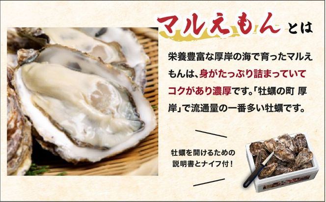 北海道厚岸産 生食用 殻付カキ Mサイズ  12個　マルえもん 魚貝類 海の幸 海のミルク 海鮮 国産 北海道産 オイスター つまみ お酒 あて 肴 生牡蠣 メルマガ掲載商品1