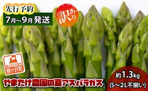 アスパラガス 先行予約 夏アスパラガス 約1.3kg S～2L 訳あり 不揃い やまたけ農園 規格外 アスパラ グリーンアスパラ 野菜 夏野菜 夏 旬 産地直送 2026年 2026 予約 青森 冷蔵 冷蔵配送 7月～9月発送