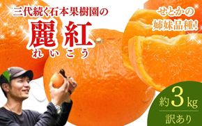 【先行予約】【訳あり】石本果樹園の美味しい麗紅（レイコウ）約3kg 約18～20玉前後【2027年2月中旬から3月中旬に順次発送予定】 / みかん フルーツ くだもの 果物 れいこう【min018】