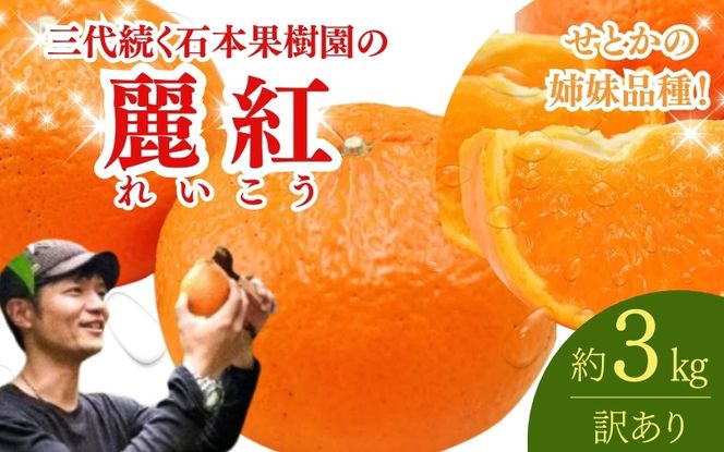 【先行予約】【訳あり】石本果樹園の美味しい麗紅（レイコウ）約3kg 約18～20玉前後【2027年2月中旬から3月中旬に順次発送予定】 / みかん フルーツ くだもの 果物 れいこう【min018】