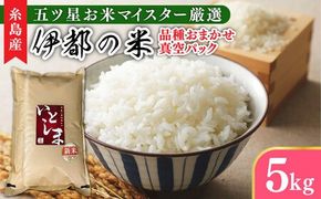 【長期保存可能】 五ツ星お米マイスターが厳選 品種おまかせ 白米 5kg 糸島市 / 納富米穀店[ARL005] 米 お米 ご飯 白米 九州 5キロ 真空パック 長期保存 五つ星お米マイスター