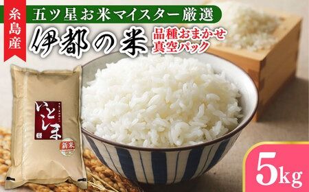 【長期保存可能】 五ツ星お米マイスターが厳選 品種おまかせ 白米 5kg 糸島市 / 米屋納富[ARL005] 米 お米 ご飯 白米 九州 5キロ 真空パック 長期保存 五つ星お米マイスター