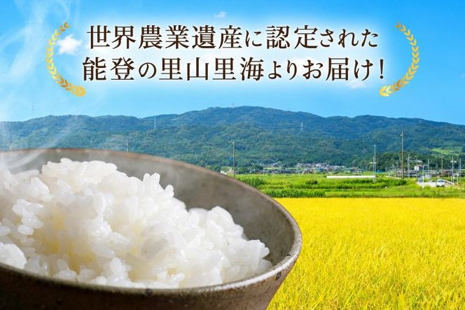 【期間限定発送】 米 定期便 コシヒカリ 白米 10kg 12回 総計 120kg [農家にしの 石川県 宝達志水町 38601410] こしひかり お米 おこめ こめ コメ 精米 ごはん ご飯 令和8年産 新米