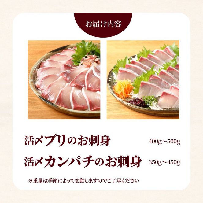 延岡産活〆ブリとカンパチの新鮮お刺身セット　N019-YB331