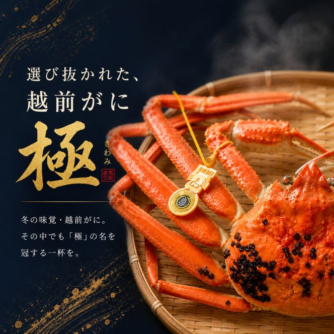 茹で越前ガニ 極！【期間限定】食通もうなる本場の味をぜひ、ご堪能ください。約1.5kg以上（極）越前がに 越前かに 越前カニ カニ ボイルガニ ずわい蟹 ずわいガニ ズワイガニ 蟹 