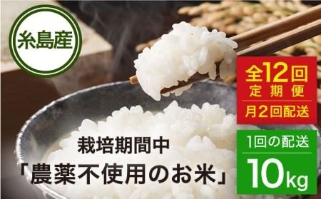 【全12回（月2回）定期便】栽培期間中 農薬不使用のお米 ヒノヒカリ 10kg 糸島市 / シーブ [AHC059]