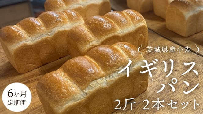 y錧}szy 6  z錧Y  CMXp 2 2{ Zbg Hp p  Ⓚ v[g Mtg [AU019ci]