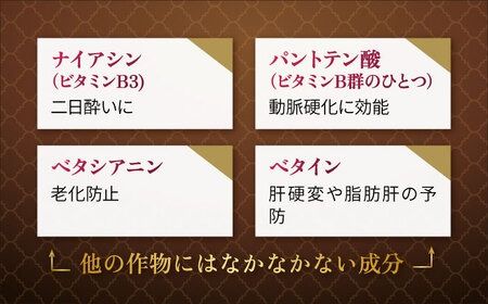 【限定販売】スーパーフード ビーツ 水煮 500g 【福岡県糸島産】 糸島市 / オーガニックナガミツファーム スムージー スープ [AGE045]