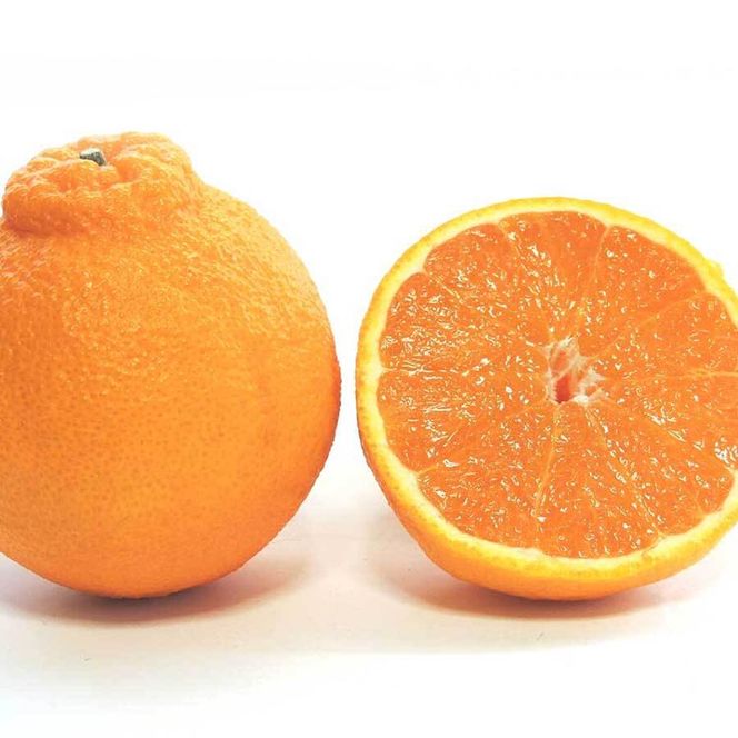 【先行予約】【ご家庭用】和歌山県産 不知火（しらぬい） オレンジ 約2kg | 柑橘 オレンジ みかん 訳あり 和歌山みかん オレンジ フルーツ 果物