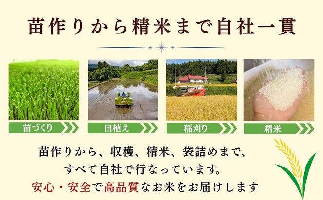 【先行予約】《 令和８年産 新米 》 こしひかり 精米 10kg（5kg×2袋） 瑞穂 豊米《 2026年10月上旬より出荷 》(Cl-002） 