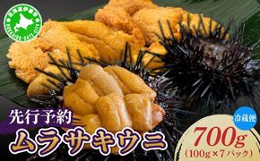 ＜先行予約＞ 北海道産 ムラサキウニ（正規品）700g【ogm-036】生うに 塩水うに ミョウバン不使用 海鮮 国産 北海道 伊達 ふるさと納税