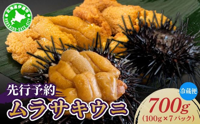＜先行予約＞ 北海道産 ムラサキウニ（正規品）700g【ogm-036】生うに 塩水うに ミョウバン不使用 海鮮 国産 北海道 伊達 ふるさと納税