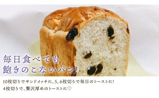 【 3ヶ月 定期便 】茨城県産 小麦の レーズンパン 2斤 2本 セット 食パン パン 小麦 冷凍 レーズン プレゼント ギフト [AU020ci]