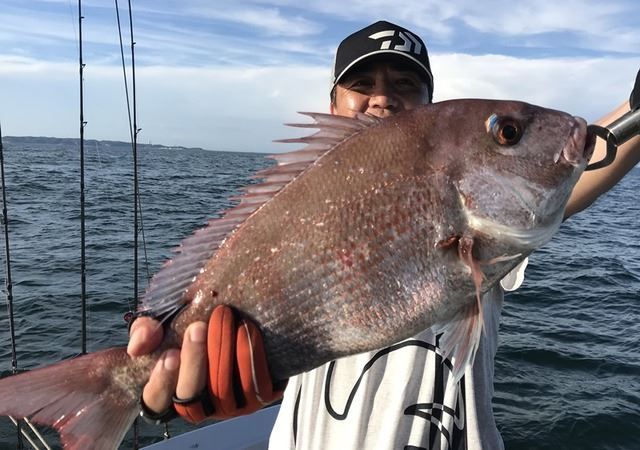衣浦マリーナより出港！船釣りフィッシングガイド（６時間コース・定員４名・１名様から可）【注意事項必ずご確認ください】　H152-003