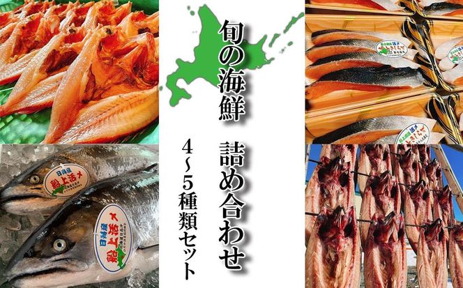 北海道産 旬の魚介 4～5種 お楽しみ詰め合わせ セット