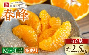 訳あり 春峰 2.5kg M～2Lサイズおまかせ 高石垣ファーム   K015
