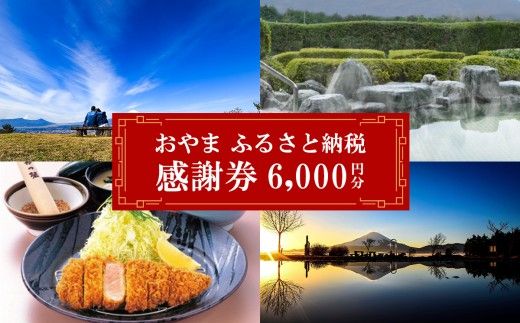 E16おやま ふるさと納税 感謝券 20,000円分（1,000円券×6枚）