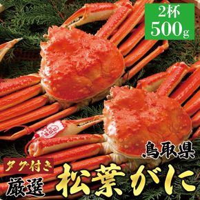 770.【ボイル】＜2026年11月5日～30日発送＞ 特撰 松葉がに【ブランドタグ付き】500g超×2杯 313726_BS017VC02