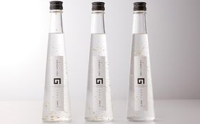 黄金B（のみよし金箔入り×3本）セット お酒 酒 焼酎 アルコール 