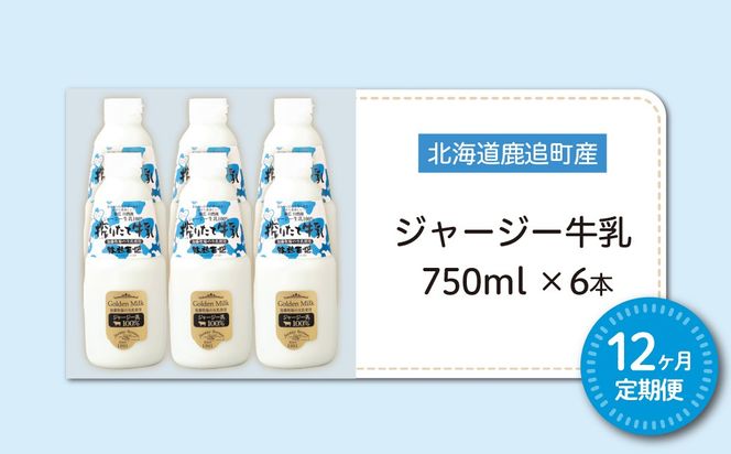 【定期12ヶ月】ジャージー牛乳 750ml ×6 SKM053