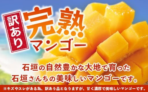 【先行予約】【訳あり】《2026年7月以降より順次発送》石垣島産 マンゴー (アーウィン種) 9～12玉(箱含め約5kg) 《樹齢30年の木で育ったマンゴー》｜産地直送 沖縄 石垣島 マンゴー アーウィン マンゴー フルーツ TP-3