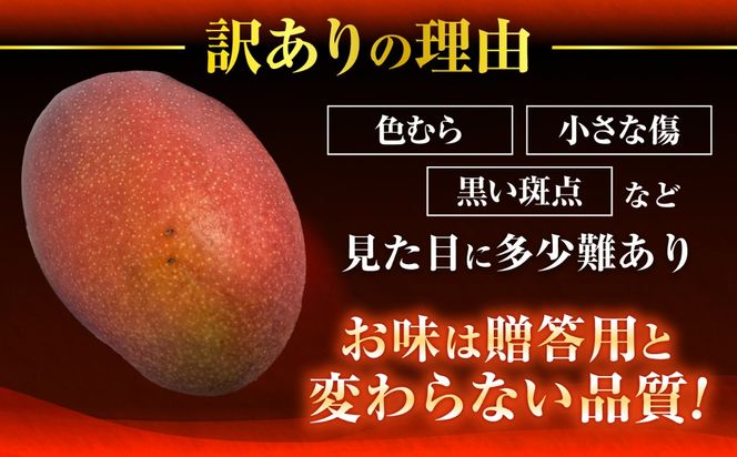 【先行予約】【優秀賞受賞】沖縄県産 完熟マンゴー 訳アリ 2kg (3〜5玉) マンゴー 沖縄 果物 フルーツ ギフト 沖縄市 / MAIFARM[BCAN004]