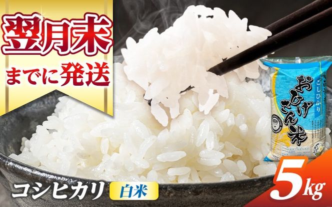 コシヒカリ 白米 5kg / 脇野コンバイン[AECP021-11]