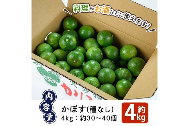 かぼす4kg（種なし）フルーツ 果物 柑橘 種無し 道の駅やよい 大分県 佐伯市【EN13】【道の駅やよい】