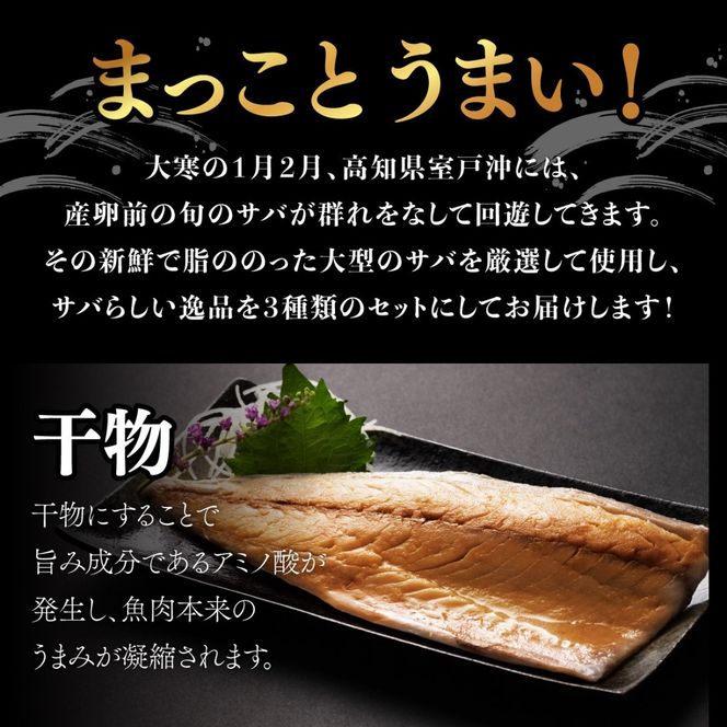 サバ 干物 定期便 ごちそうサバ3品セット｜干物・みりん干し・しめさば｜高知県室戸市 冷凍90日目安 偶数6回/奇数6回/毎月12回