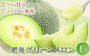 肥後グリーンメロン 1玉 熊本 株式会社エフビーネット《4月上旬-7月上旬頃出荷》熊本県 氷川町 果物 フルーツ 熊本県産 メロン 肥後グリーン めろん---hkw_efb_1_1p---