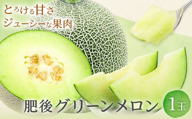肥後グリーンメロン 1玉 熊本 株式会社エフビーネット《4月上旬-7月上旬頃出荷》熊本県 氷川町 果物 フルーツ 熊本県産 メロン 肥後グリーン めろん---hkw_efb_1_1p---