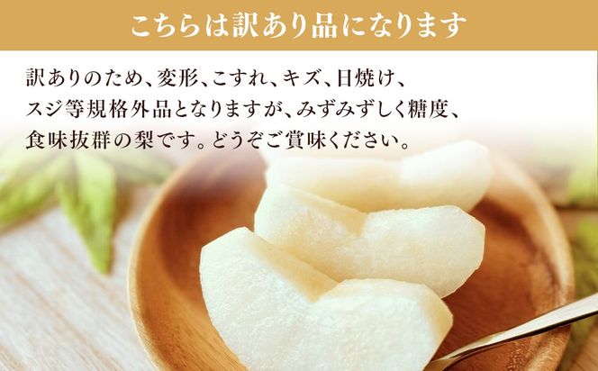 【訳アリ！先行予約】小林果樹園の梨 6～10玉 約3kg　※2026年9月～発送