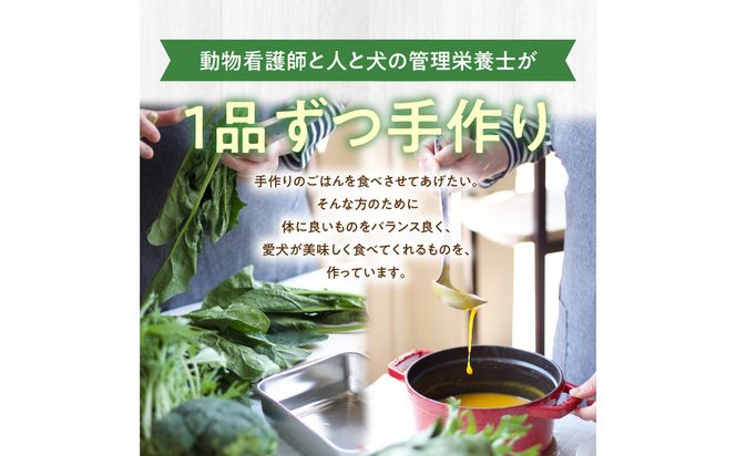 【R15013】ドッグフード 無添加 水分補給4点セット【犬の手作りごはん】