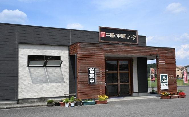牛肉 切り落とし とちぎ和牛 500g | 冷凍 牛肉 夕食