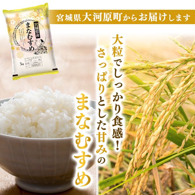 まなむすめ 定期便6回/5kg×2袋 令和8年産 新米 先行予約 宮城県産 米 精米 白米 米 コメ お米 おこめ ブランド米 ご飯 ごはん