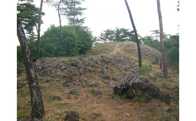 文化財専門員と行く！石清尾山古墳群（峰山地区）ガイド見学ツアー 372013_KY003