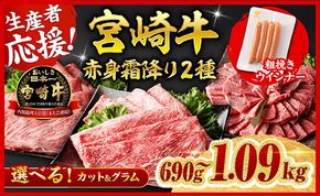 牛肉 ※発送時期・グラム・カットが選べる※生産者応援！宮崎牛 赤身・霜降りすきしゃぶor焼肉 2種600g～1000g+粗挽きウインナー90g 【 牛肉 黒毛和牛 数量限定 すき焼き スキヤキ しゃぶしゃぶ 肩ロース ウデ モモ A4ランク牛肉 A5ランク牛肉 4等級 5等級 】ⅡⅠ[ B00610 B00611 B00612 B00613 ]