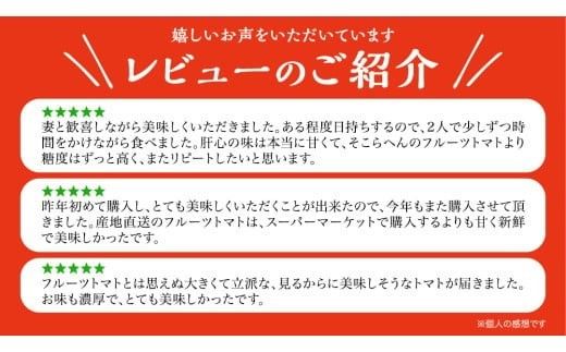 てるて姫 大箱 約2.6kg × 1箱 【20～35玉/1箱】 2026年産 野菜ソムリエサミット 金賞 糖度9度 以上 野菜 フルーツトマト フルーツ トマト とまと [AF109ci]