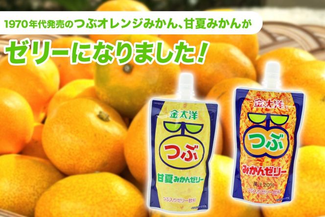AJ236 金太洋 つぶみかんゼリー 2個 つぶ甘夏みかんゼリー 1個 [株式会社島原観光ビューロー 長崎県 島原市] みかん オレンジ ゼリー おやつ つぶつぶ ゼリージュース