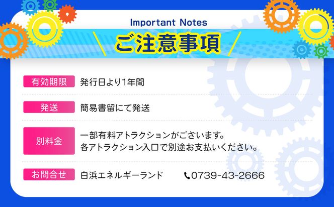 白浜エネルギーランド 大人（高校生以上）入館券 1名 304018_W004
