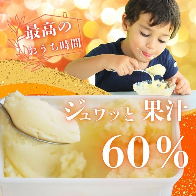柑橘アイス 1個1000ml【 不知火 】 冷凍 みかん 旬 農家直送 特産品 さっぱり 大人 旨味 アイス ジェラート シャーベット ソルベ アイスクリーム ランキング 人気 業務用 大容量 ホームタイプアイス ファミリーサイズ 家庭用 みかん 柑橘 かんきつ 不知火 デコポン ぽんかん 冷凍 冬 夏 みかん職人武田屋 愛媛県 愛南町