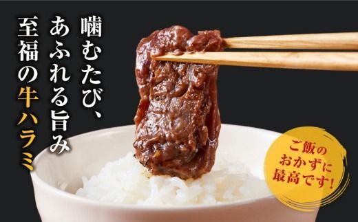 牛ハラミ タレ漬け 600g ( 300g × 2 ) お肉柔らか＆タレ美味しい 小分け 使いやすい ハラミ 牛肉 焼肉 バーベキュー 冷凍 味付き 配送時期が選べる 個包装 調理簡単 便利 アウトドア キャンプ 人気 おすすめ