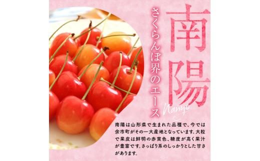 2026年発送【先行予約】令和8年産 紅秀峰南陽食べ比べ【2Lサイズ】各500g【ニトリ観光果樹園】余市 北海道 フルーツ王国 さくらんぼ サクランボ 桜桃 紅秀峰 南陽 食べ比べ 余市産さくらんぼ 人気さくらんぼ ニトリ_Y074-0141