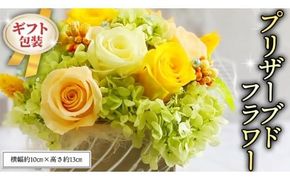 ≪ギフト≫プリザーブドフラワーS プリザーブドフラワー インテリア ギフト プレゼント 誕生日 記念日 母の日 父の日 [CT031ci]
