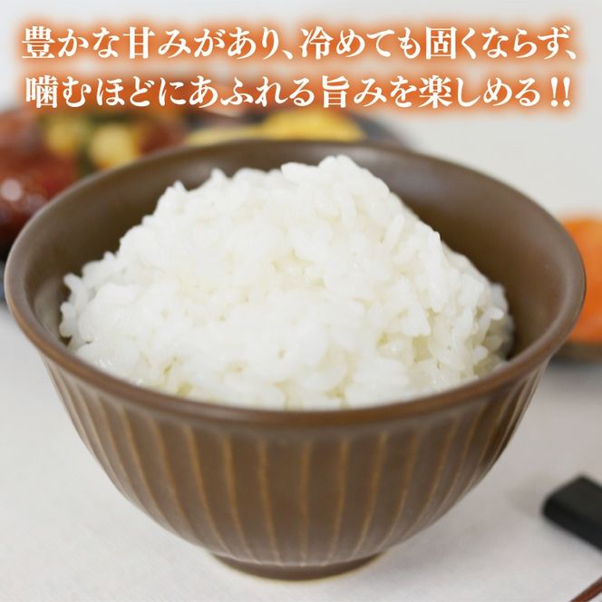 山﨑観光農園のお米　＼とちぎの星　白米27kg／｜栃木県 益子町 ふるさと納税 お米 大容量 米 白米 精米 約27kg（AU040）