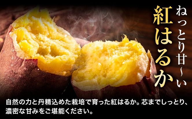 さつまいも 紅はるか 選べる 3.5kg～5kg《12月中旬-2月末頃出荷》熊本県 御船町 野菜 芋 さつま いも 焼き芋 送料無料---mifune_hss_4_3500g---