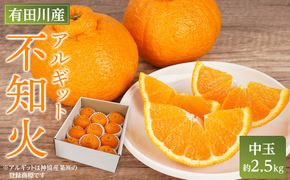 アルギット 不知火 約2.5kg 中玉 サイズ（11～12玉）| 先行予約 不知火 デコ みかん 甘い おいしい ジューシー 完熟 期間限定 数量限定 フルーツ 果物 柑橘 人気 おすすめ 高級 こだわり ギフト 旬 お取り寄せ 送料無料 和歌山 有田川町    DT015